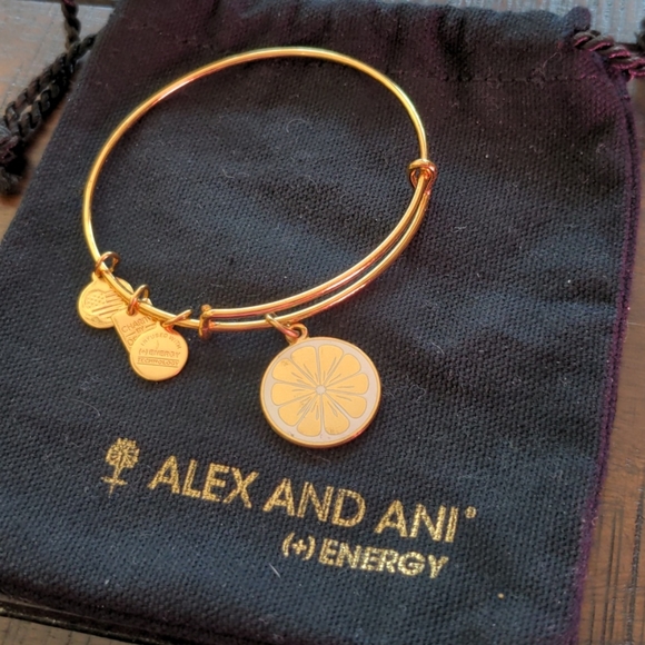 Alex and Ani Jewelry - Alex and Ani Lemon Bracelet